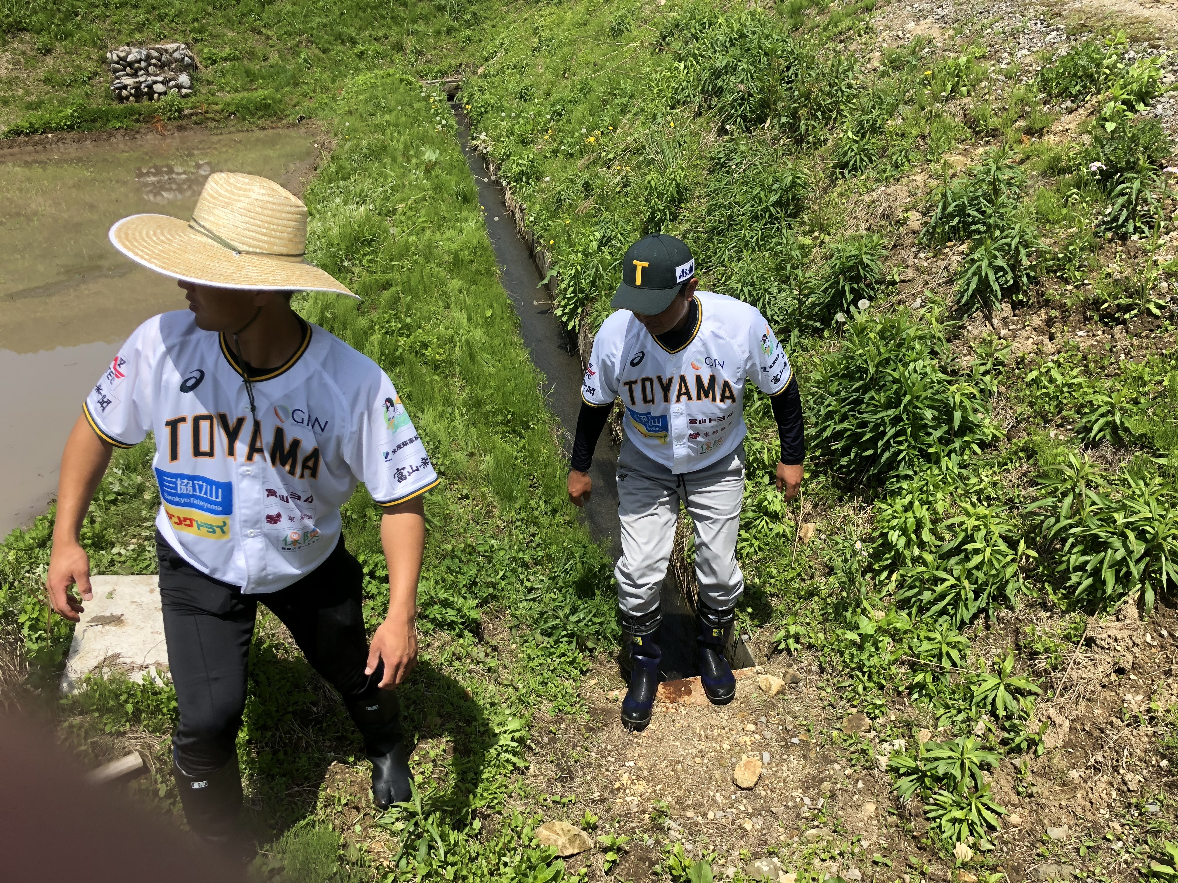 農業のお手伝い02